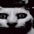 IMG_3066.gif