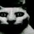 1761218850439.png