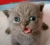 1761219390315.png