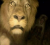 1762248897799.png