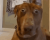 1762250531618.png