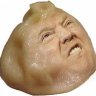 Citrusacrobat08