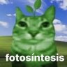 sourmango