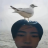 cccccc24